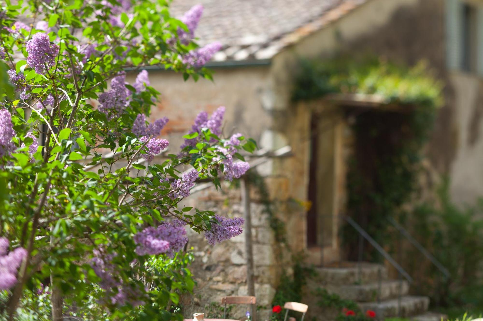 Tenuta Di Spannocchia Rosia Εξωτερικό φωτογραφία